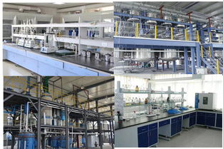 高效管理，助力成長——歡迎探索企業管理咨詢的專業價值